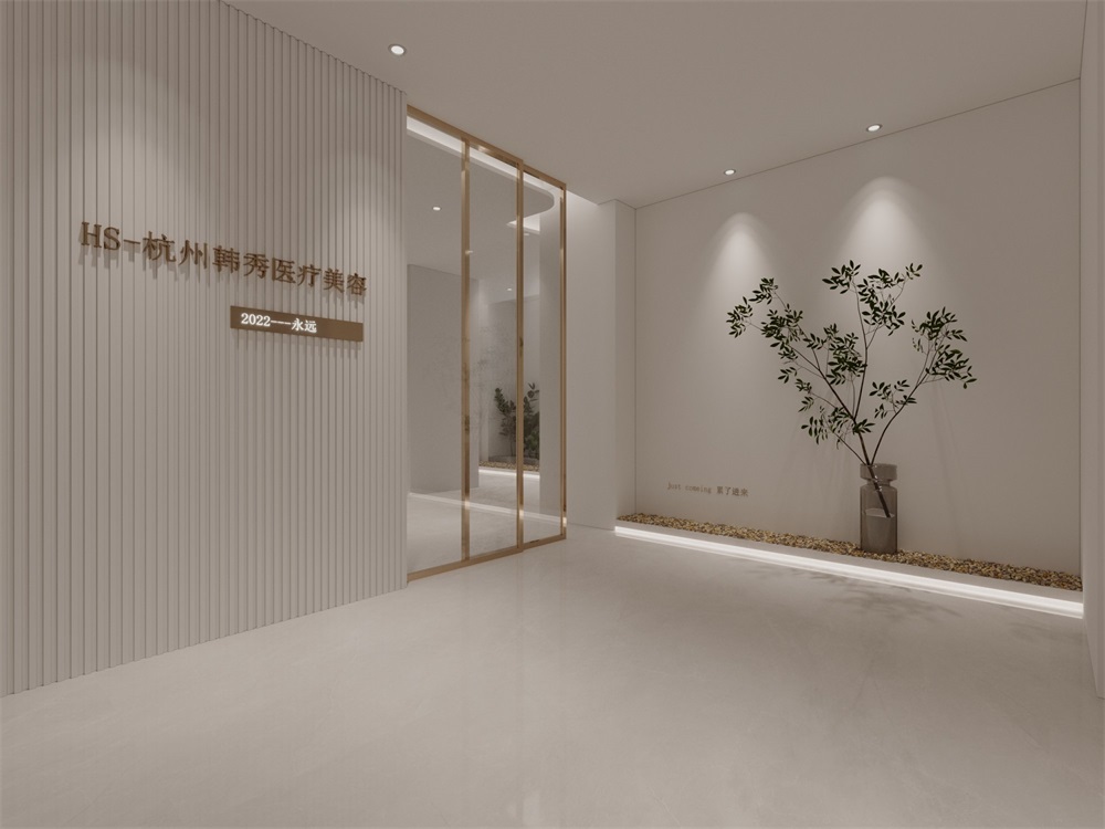 杭州簡約醫(yī)療美容機(jī)構(gòu)裝修設(shè)計(jì)案例效果圖